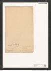 Synedra amphycephala Kuetz., (de-Toni-Nr.: Genus 66, Species 2605) Zeichnungen Sammlung Grunow (NHMW-BOT-W0373716)